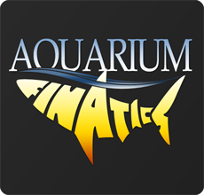                 Aquarium Finatics Blog